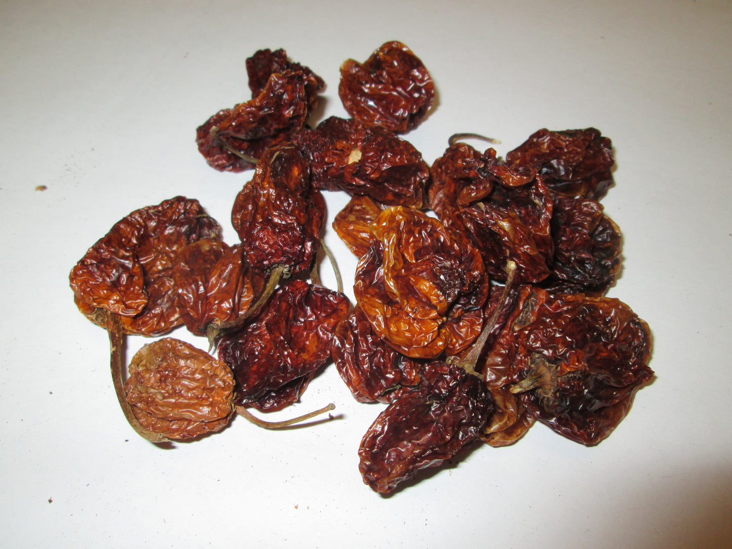 Dried Habanero Chiles , 20 lbs