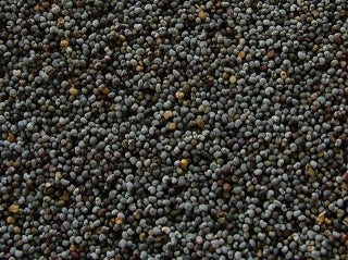 Natural Blue Poppy Seeds, 25 lbs