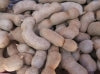 Dried Sweet Tamarind, 30 lbs / case