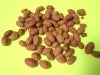 BBQ Crunchy Peanuts, 26.4 lbs / case