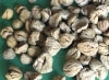Dried & Peeled Chestnuts, 10 lbs / case
