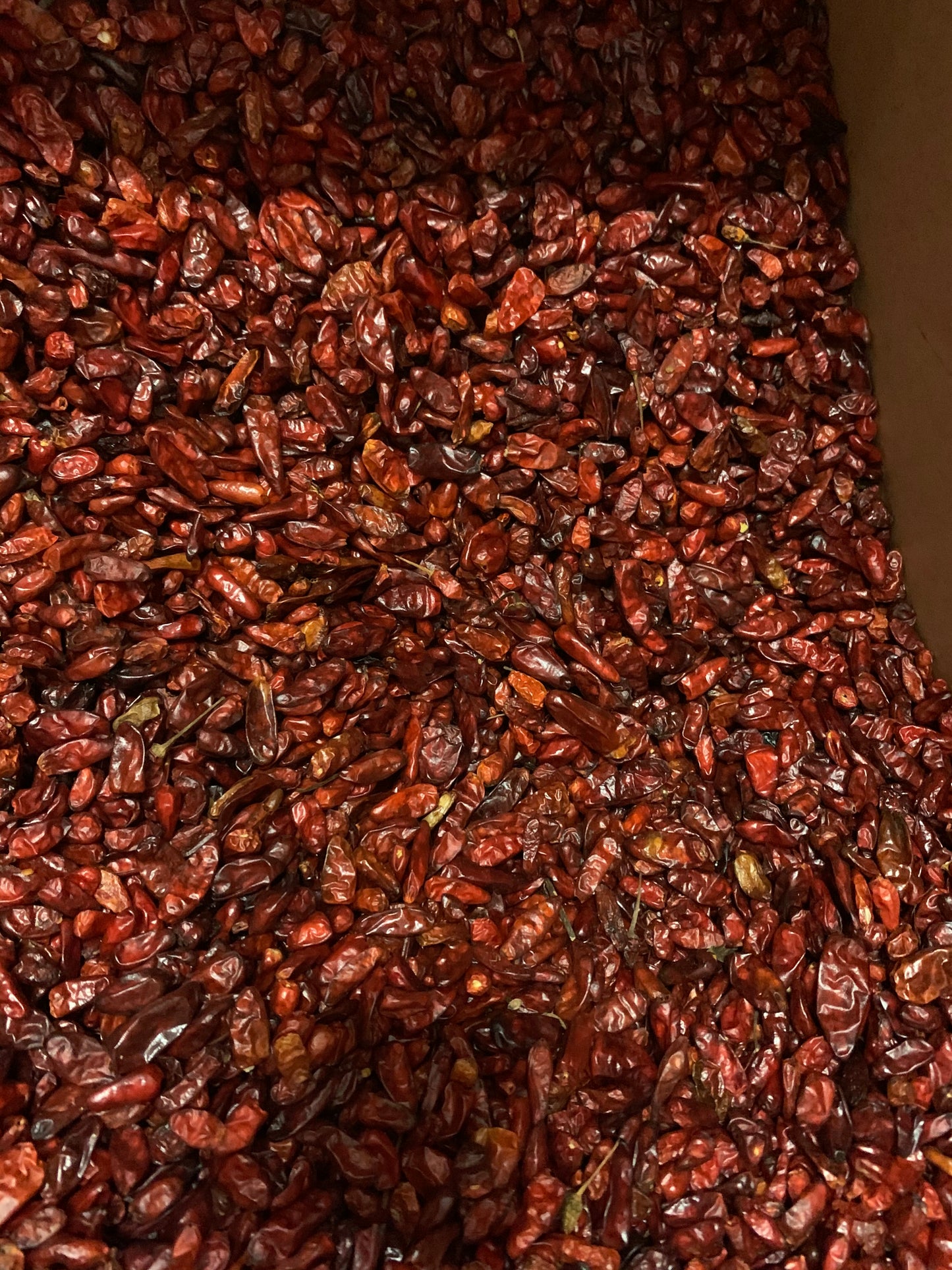 Dried Pequin Chiles , 10 lbs